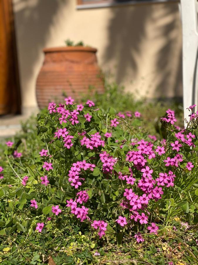 Elsa Haus Apartman Potósz Kültér fotó